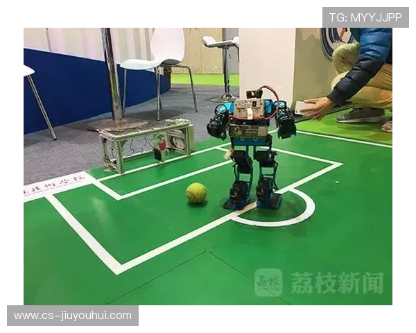 打造绿色智能制造体系推动布艺足球产业高质量可持续发展